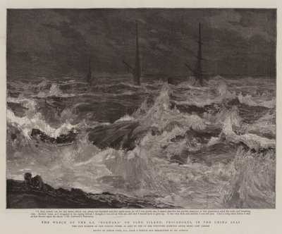 The Wreck of the SS Bokhara on Sand Island, Pescadores, in the China Seas by Joseph Nash